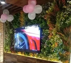 Artificial Plant Wall