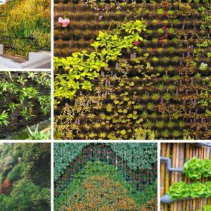 Natural Vertical Garden