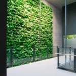 Large Vertical Wall Gardens