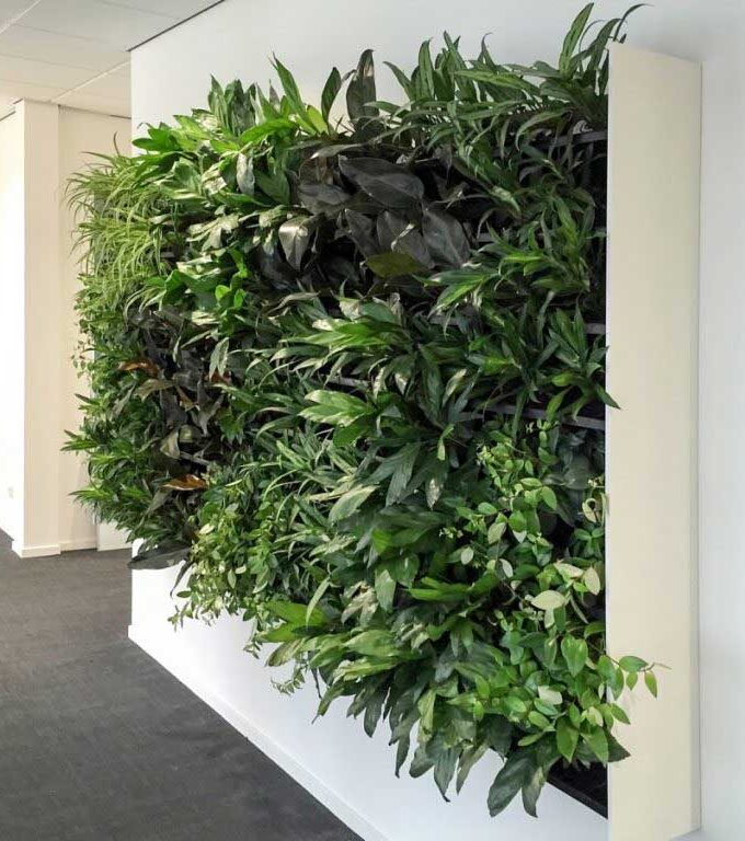 Artificial Vertical Garden Wall