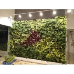 Indoor Green Bio Wall