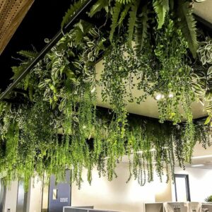 Creepers and Falling