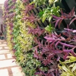 Green Wall Natural Indoor & Outdoor