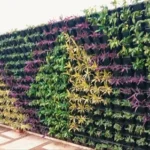 Large Vertical Wall Gardens