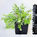 Vertical Garden Panels