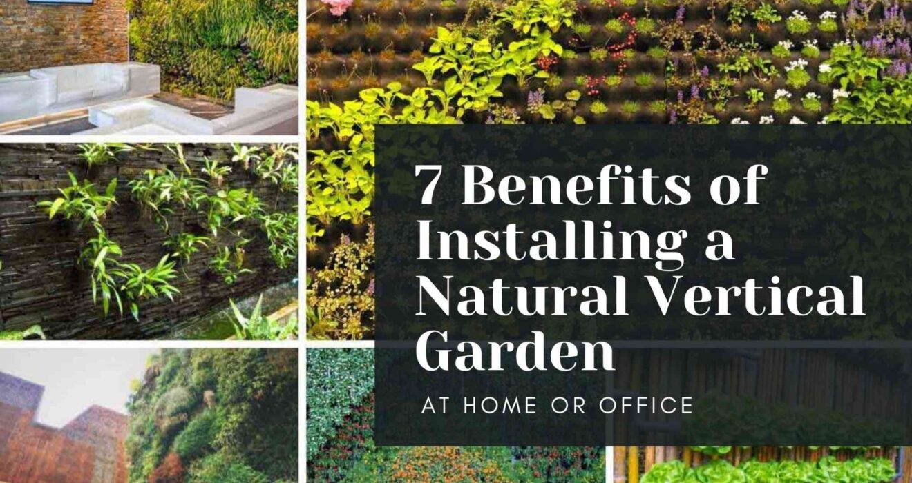 Benefits of Installing a Natural Vertical Garden