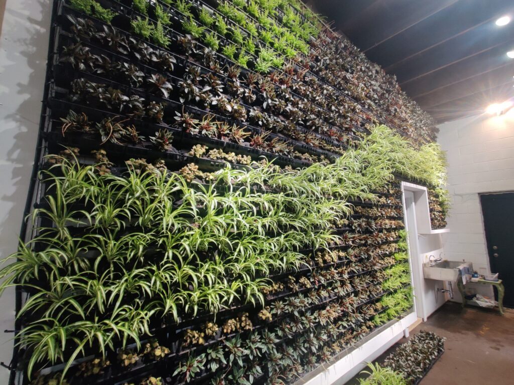 natural green wall for home and commercial spaces