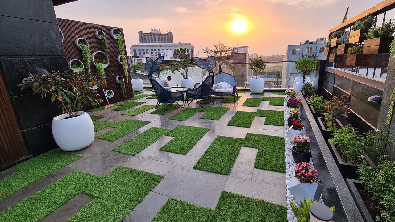 terrace garden in delhi