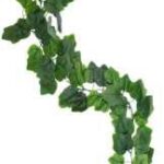 English Eavy Plant mix Creeper 12 pcs 6.5 feet