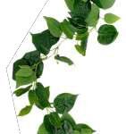 Natural Touch Big Leaves Creeper Mix 6.5 feet
