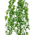 Eucalyptus Leaves Hanging 90cm