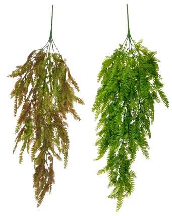 Colour fern hanging best quality creeper