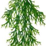 Reindeer Head Hanging 80cm