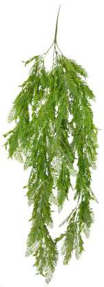 green fern