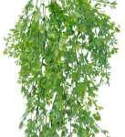 Artificial Hanging Colour Asppragus 80cm