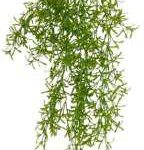 Artificial Rubber Touch hanging 70cm