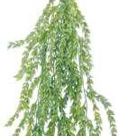 Artificial Big Bamboo Leaves Haning 95cm