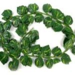 Artificial Green Creepers Delicate 12 Pcs 6 Feet