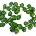 Artificial Green Creepers Delicate 12 Pcs 6 Feet