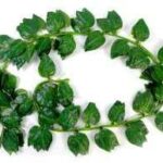 Artificial Green Creepers Delicate 12 Pcs 6 Feet