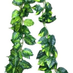 artficial money plant bail creeper