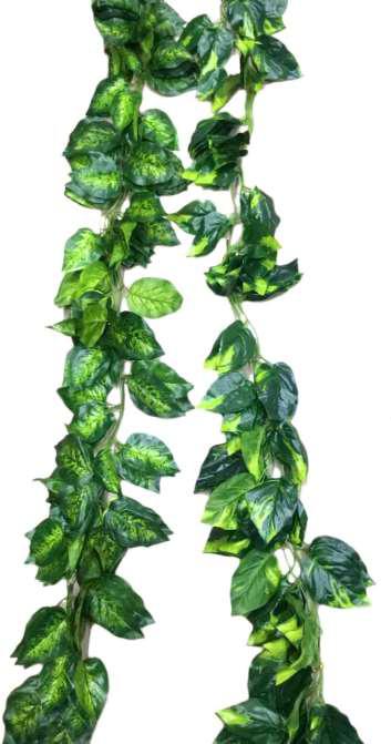 artficial money plant bail creeper