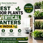 Best Indoor Plants for Vertical Planters